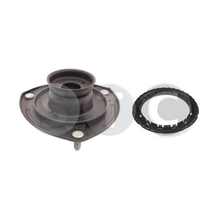 Pakabos statramsčio atraminis guolis STC T456134