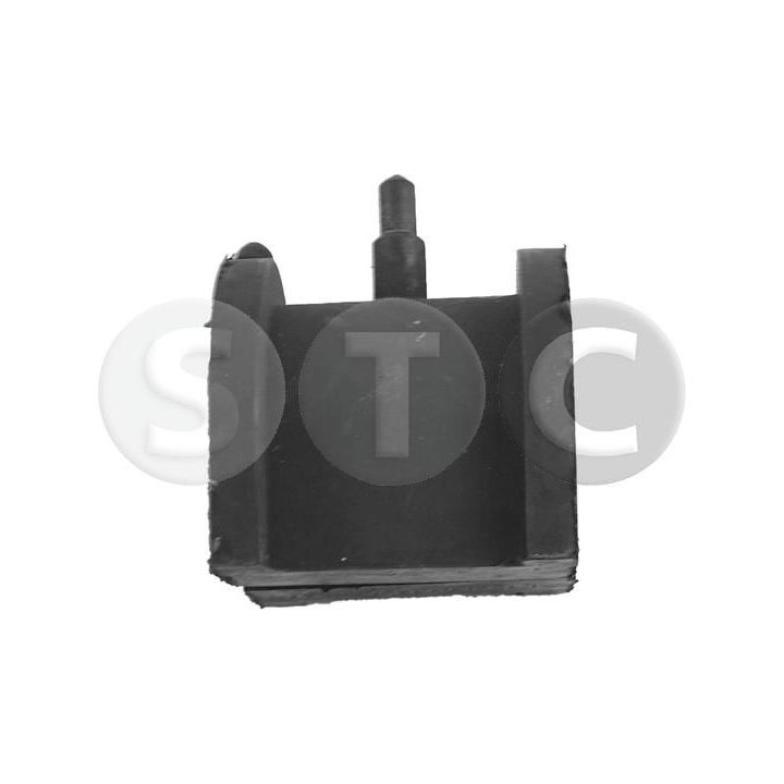Skersinio stabilizatoriaus įvorių komplektas STC T458547
