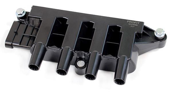 Ritė, uždegimas PROFIT 1810-8066