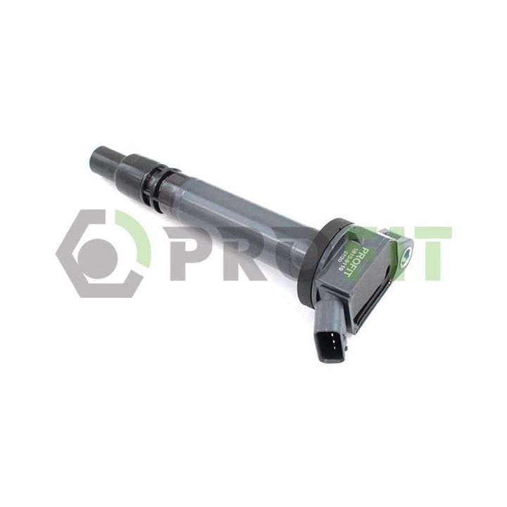 Ritė, uždegimas PROFIT 1810-9119