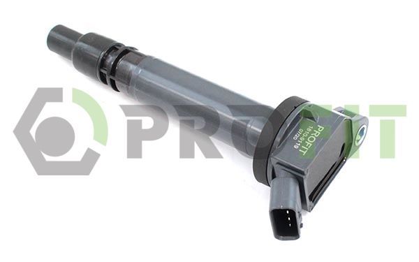 Ritė, uždegimas PROFIT 1810-9119