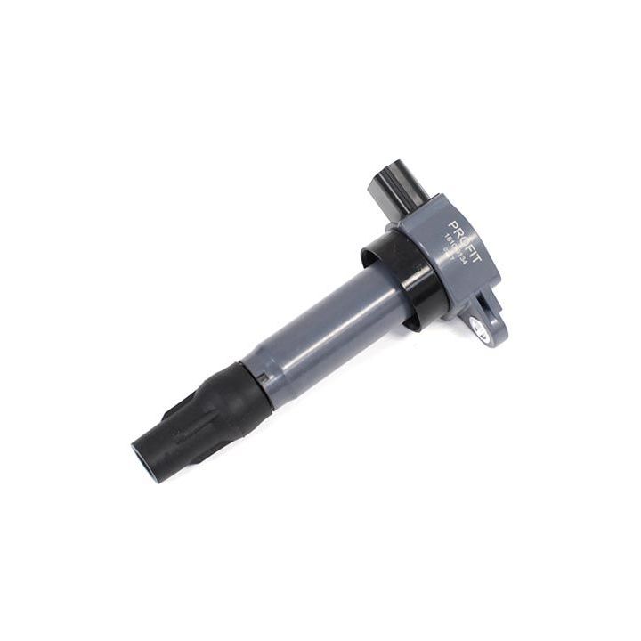 Ritė, uždegimas PROFIT 1810-9134