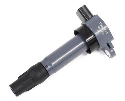 Ritė, uždegimas PROFIT 1810-9134