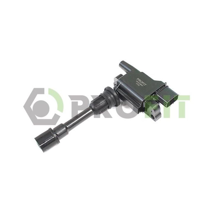 Ritė, uždegimas PROFIT 1810-9907