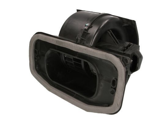 Vidaus pūtiklis THERMOTEC DDR002TT