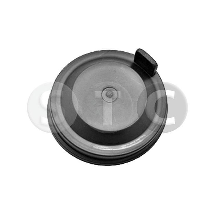 Dangtelis, priekiniai žibintai STC T491003