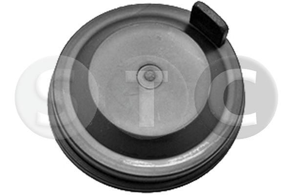 Dangtelis, priekiniai žibintai STC T491003