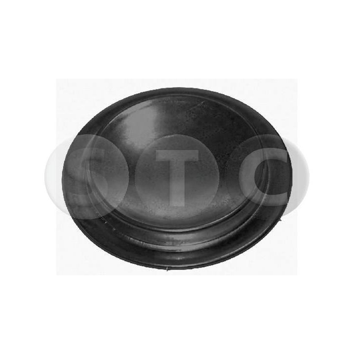 Užšalęs kaištis STC T404893