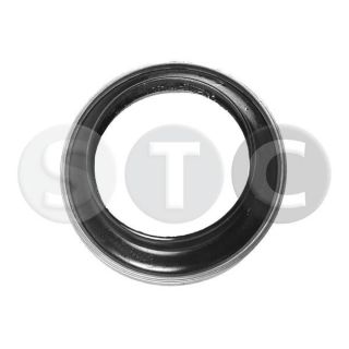 Frikcinis guolis, pakabos statramsčio atramos montavimas STC T404181