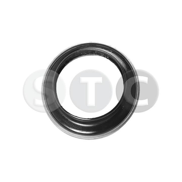 Frikcinis guolis, pakabos statramsčio atramos montavimas STC T404181