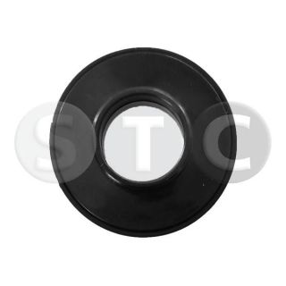 Frikcinis guolis, pakabos statramsčio atramos montavimas STC T456065