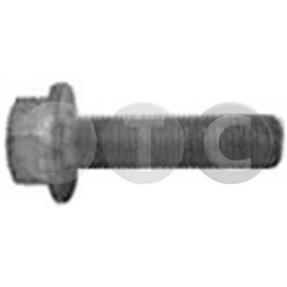 Skriemulio varžtas STC T402254