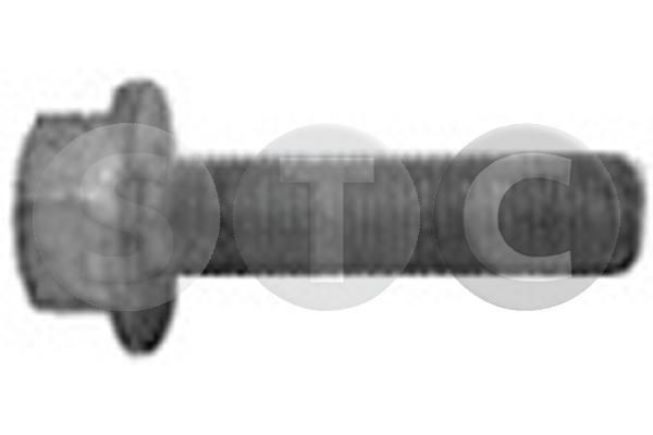 Skriemulio varžtas STC T402254