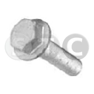 Skriemulio varžtas STC T402255