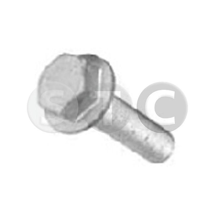 Skriemulio varžtas STC T402255