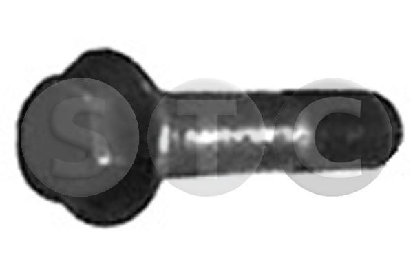 Skriemulio varžtas STC T402259