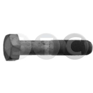 Skriemulio varžtas STC T402261