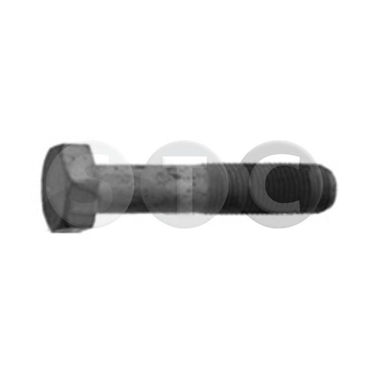 Skriemulio varžtas STC T402261