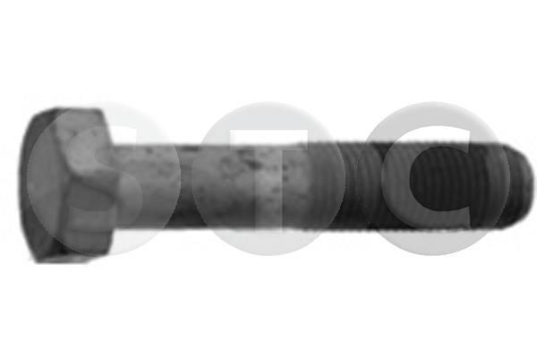 Skriemulio varžtas STC T402261