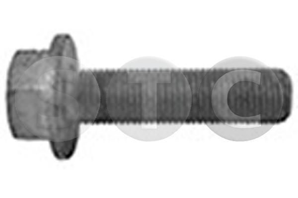 Skriemulio varžtas STC T402265