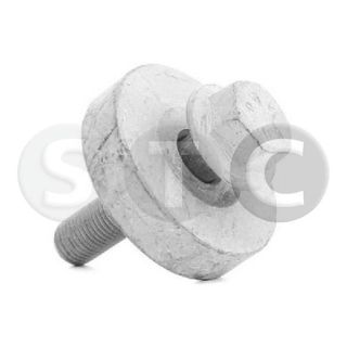 Skriemulio varžtas STC T402269