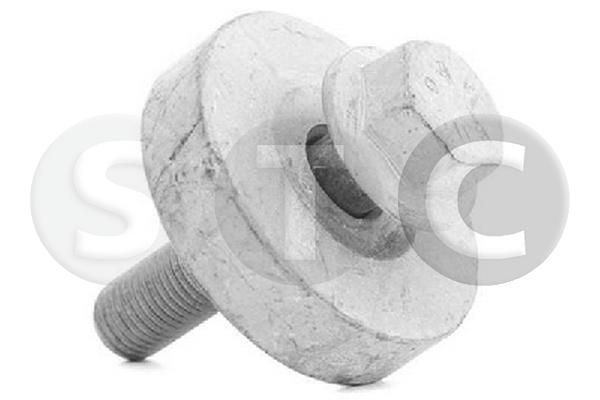 Skriemulio varžtas STC T402269