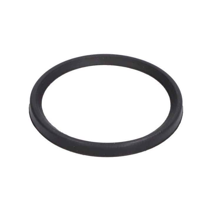 Tarpiklis, turbinos oro žarna THERMOTEC DCC079TT