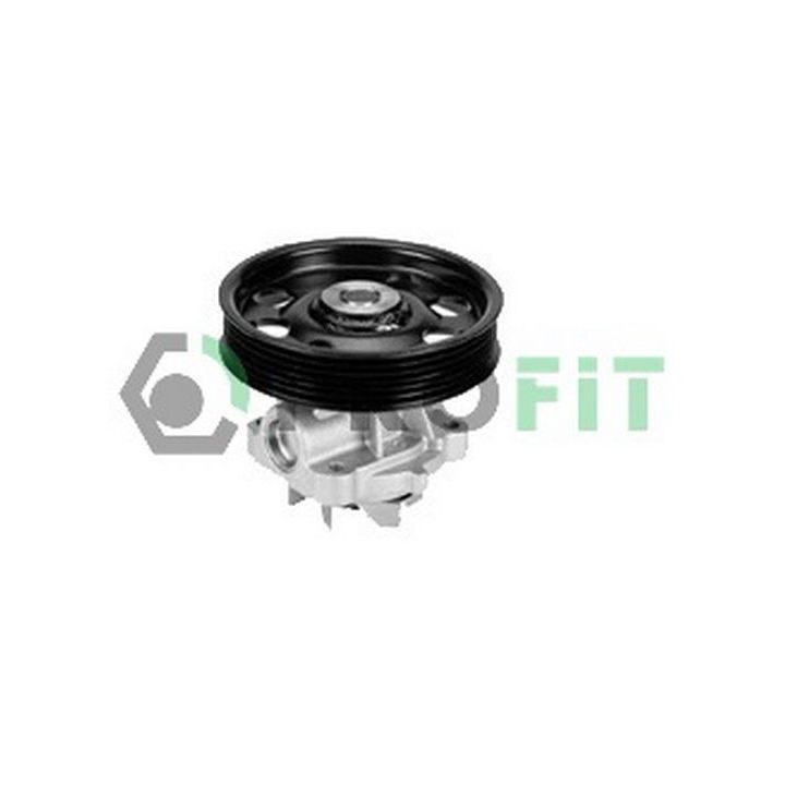 Vandens siurblys, variklio aušinimas PROFIT 1701-0887