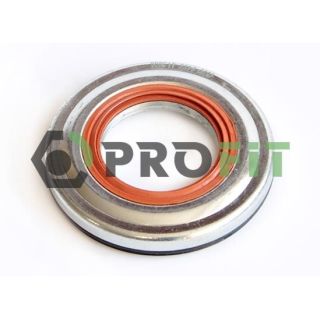 Frikcinis guolis, pakabos statramsčio atramos montavimas PROFIT 2314-0650