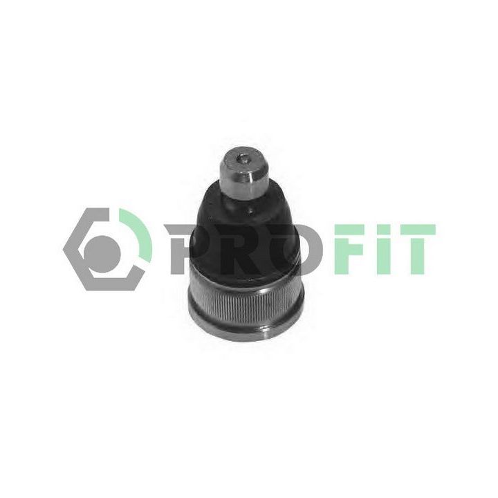 Šarnyras / girgždukas PROFIT 2301-0116