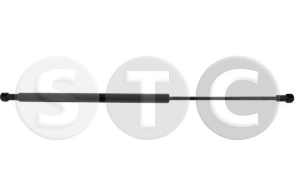 Dujinė spyruoklė, galinis langas STC T446665