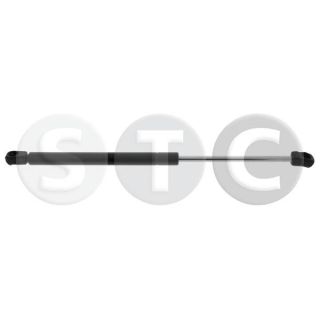 Dujinė spyruoklė, galinis langas STC T446757