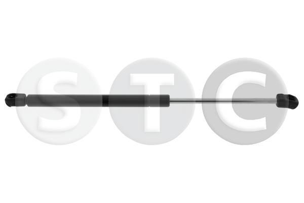 Dujinė spyruoklė, galinis langas STC T446757