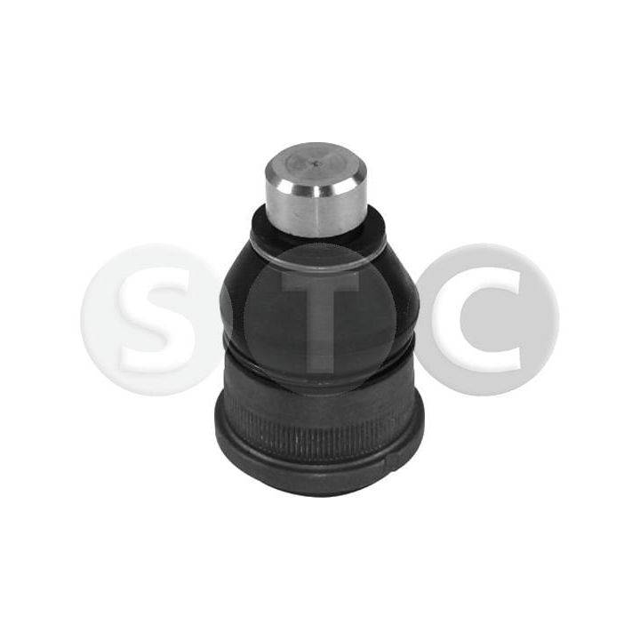 Šarnyras / girgždukas STC T453028