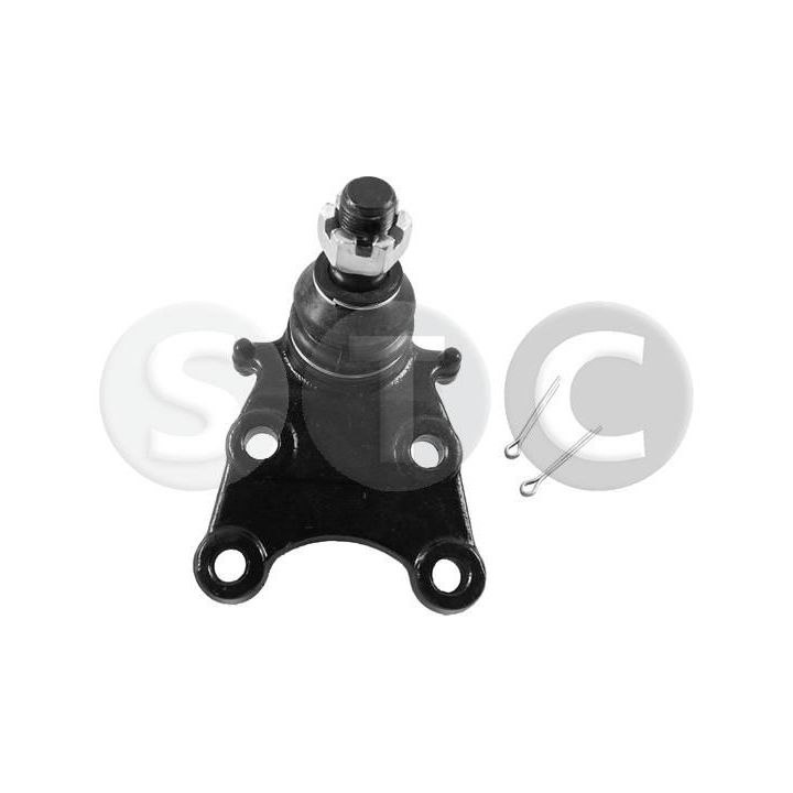 Šarnyras / girgždukas STC T453256