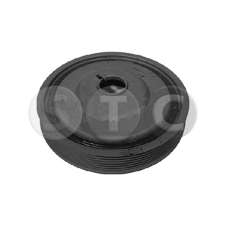 Skriemulys, alkūninis velenas STC T406226