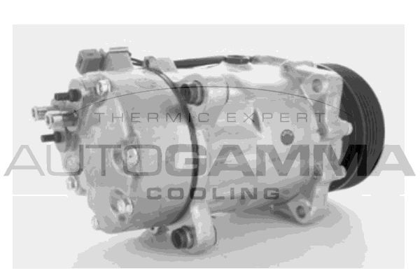 Kompresorius, oro kondicionierius AUTOGAMMA 108001