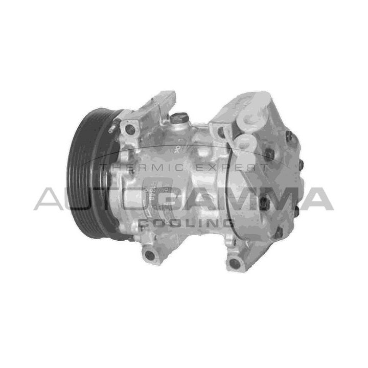 Kompresorius, oro kondicionierius AUTOGAMMA 108015