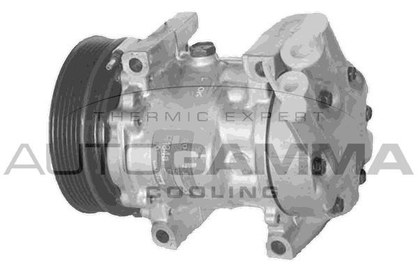 Kompresorius, oro kondicionierius AUTOGAMMA 108015