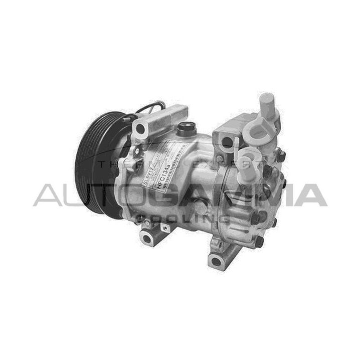 Kompresorius, oro kondicionierius AUTOGAMMA 108063