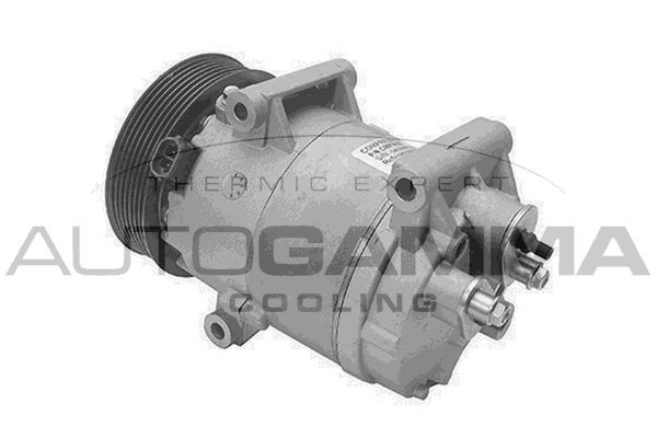 Kompresorius, oro kondicionierius AUTOGAMMA 108064
