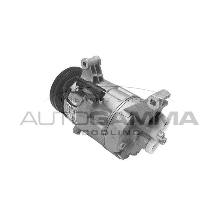 Kompresorius, oro kondicionierius AUTOGAMMA 108158