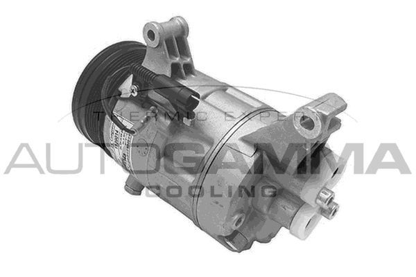 Kompresorius, oro kondicionierius AUTOGAMMA 108158