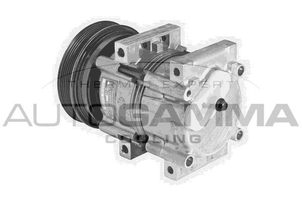 Kompresorius, oro kondicionierius AUTOGAMMA 108335