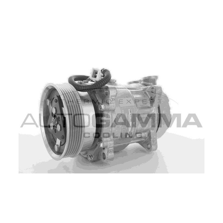 Kompresorius, oro kondicionierius AUTOGAMMA 108500