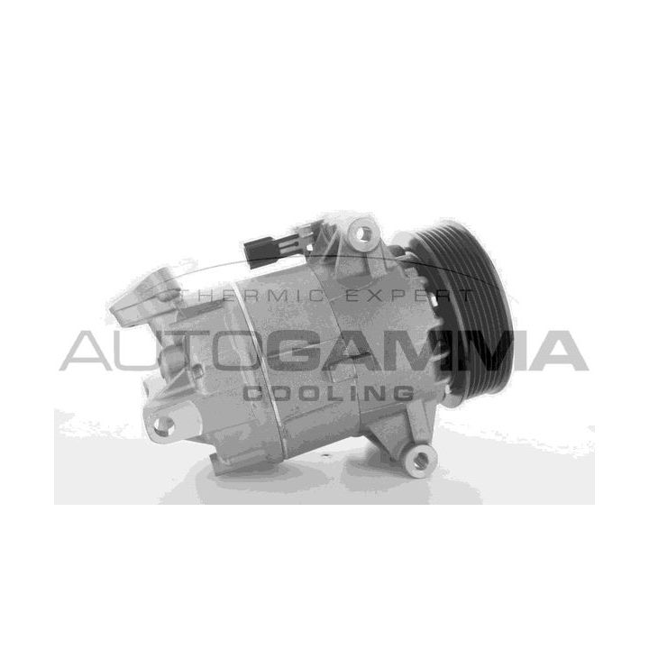 Kompresorius, oro kondicionierius AUTOGAMMA 108568