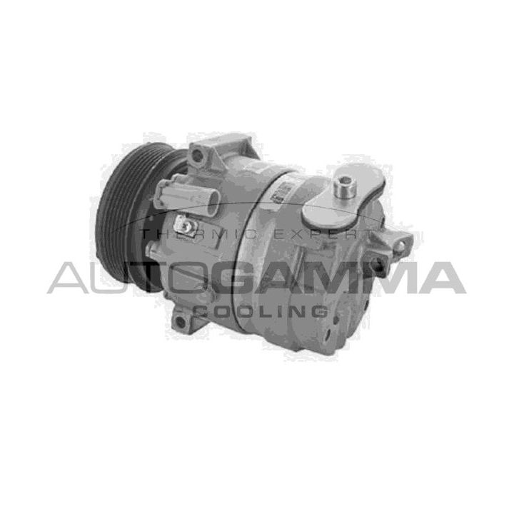 Kompresorius, oro kondicionierius AUTOGAMMA 108600
