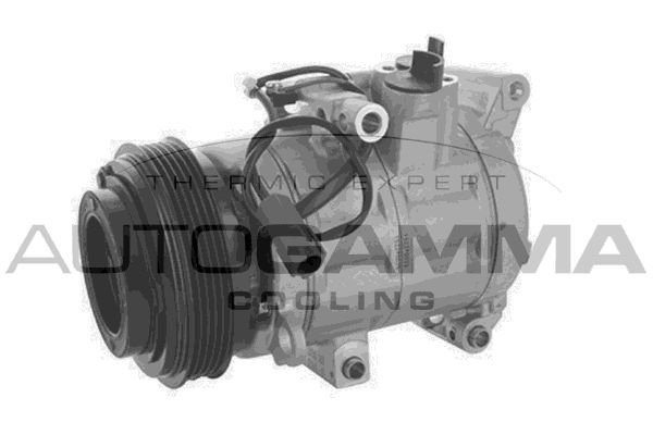 Kompresorius, oro kondicionierius AUTOGAMMA 109000