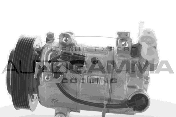 Kompresorius, oro kondicionierius AUTOGAMMA 118433