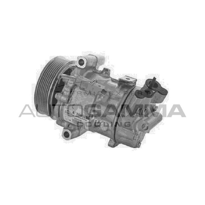 Kompresorius, oro kondicionierius AUTOGAMMA 118645